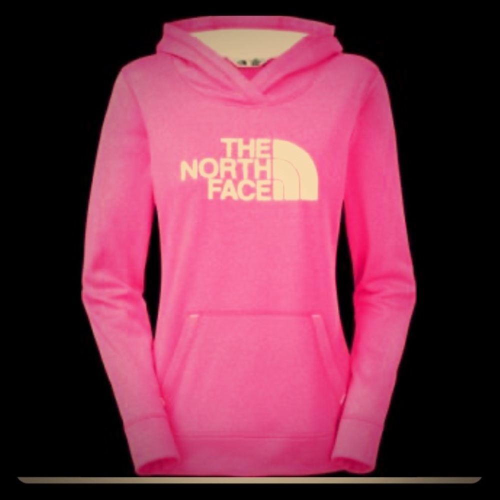 The North Face Fave Half Dome Pullover Hoodie